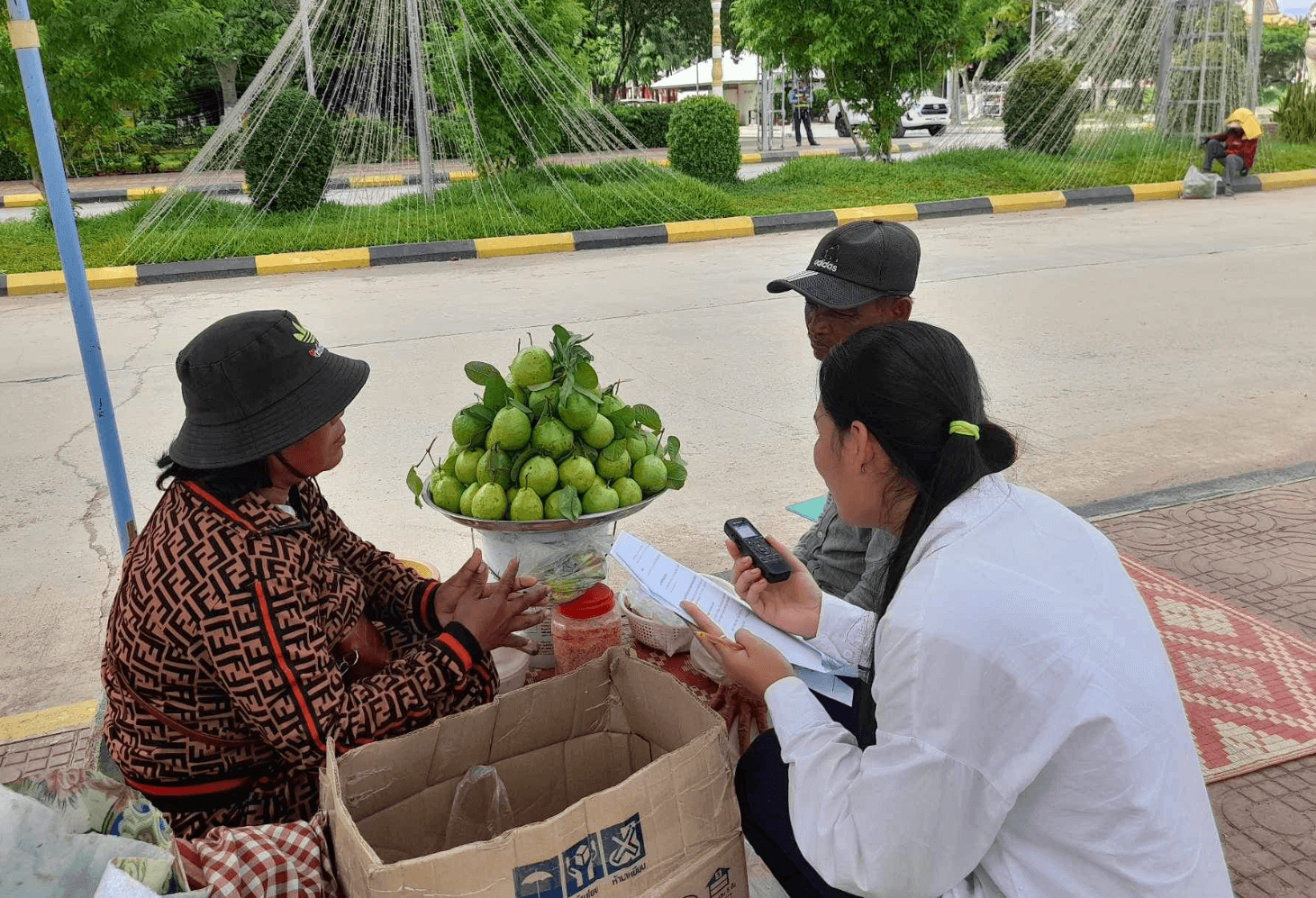 Cambodia Project Business Interview Street Vendor Selling Fruit